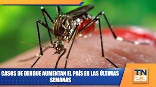 Casos de dengue aumentan el país en las últimas  semanas