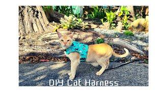 Sewing DIY Cat Harness & Leash Set and pattern linked; 고양이 하네스 만들기 (패턴포함)