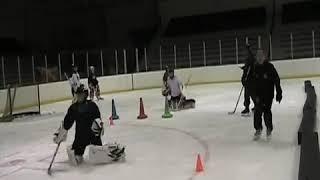 Briere's Goalie School in Birmingham clip  Fall 2010