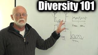 Receiver and Antenna diversity 101
