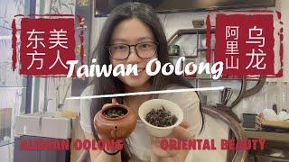 Oriental Beauty Oolong Tea / Dongfang Meiren vs Alishan Oolong Tea 台湾东方美人 vs 阿里山乌龙 #Christmas gift