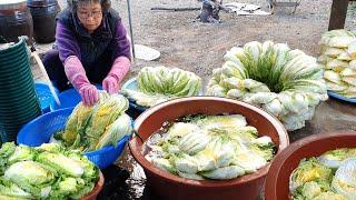 How to make delicious Korean kimchi~! 40-minute full video (boiled pork) recipe