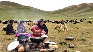 Organic Mountain Village Life | Shepherd Mother Cooking Shepherd Food | Village life in Afghanistan