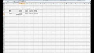 Using Auto Sum in Microsoft Excel 2007