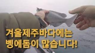 겨울 제주 고무보트 낚시(벵에돔 흘림 낚시)