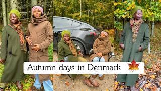 Cozy days in my life in Denmark| Autumn Diaries | Walk+coffee ️ in the forest |Thrifting|