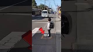 Proper crossing of the road in Japan  #shorts