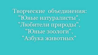 Творческие объединения "Юные натуралисты", "Любители природы", "Юные зоологи", "Азбука животных"