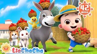 Walking Walking | Farm Animal Series Compilation + More LiaChaCha Kids Songs & Nursery Rhymes