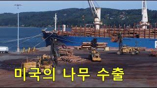 목재 수출하는 미국의 항구. export log of USA