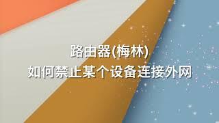 How does Merlin prohibit a certain device from connecting to the external network