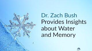 Dr. Zach Bush Provides Insights on Water and Memory