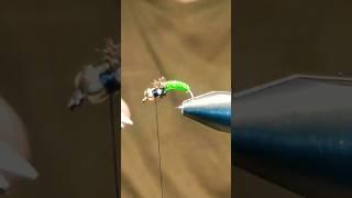 Мушка Buzzer комарик, для рыбалки #рыбалка #мушка #снасти #flytying #бомбарда  #наноспиннинг
