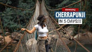 Meghalaya in 5 Days (Itinerary) - Cherrapunji | Mawphlang Sacred Forest | David Scott