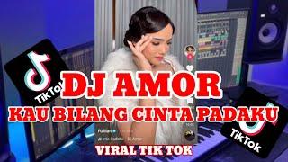 KAU BILANG CINTA PADAKU - DJ AMOR