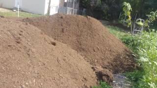 Wood chips plus cow manure