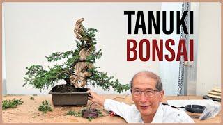 Making a Tanuki Bonsai