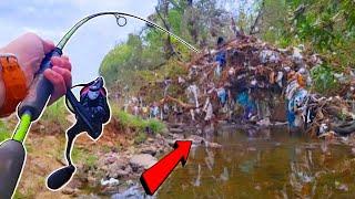 Houston's TRASHIEST Bayou is Full of CONTAMINATED FISH!