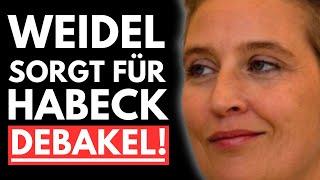 PAUKENSCHLAG! HABECK ZIEHT KANDIDATUR ZURÜCK?! WEIDEL SORGT FÜR UMFRAGE SCHOCK!