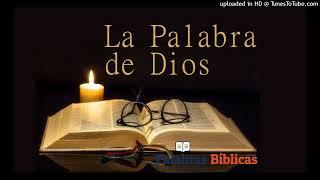 Palabra de Dios 05.06.24