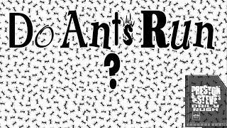 Do Ants Run? - Preston & Steve's Daily Rush