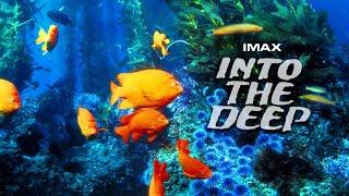 Into The Deep