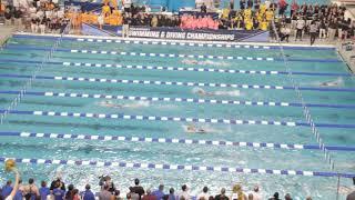 2019 NCAA Championships: Women's 800 Free Relay