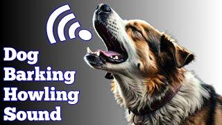 Dog Barking And Howling Sound Effect