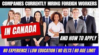 Companies In Canada Currently Hiring Foreign Workers In 2023 And How To Apply | No Experience