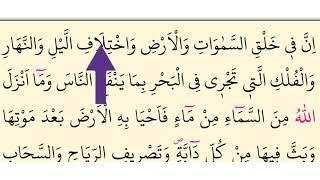 Surah Baqarah, Verses 161-164سورۃ البقرۃ #Lesson29. Learn Quran with Tajweed