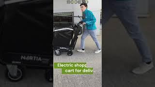 Electric shopping cart