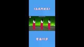 #一起抖动广场舞# #喜欢跳舞的朋友们集合# #简单易学的舞蹈# #春风何时到来#