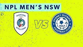 NPL Men's NSW Round 5: Marconi Stallions FC v Sydney Olympic FC