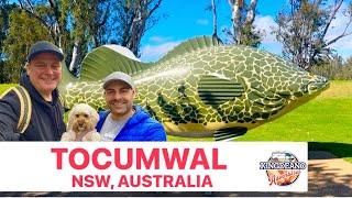 Tocumwal / What To Do In Tocumwal / Camping Tocumwal / Pet-Friendly Town NSW