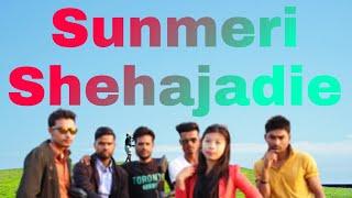 SUNMERI SHEHAJADIE#AM SK E5#.(Hindi Song)