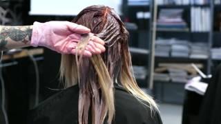 KC Professional Cut & Color Course 2017 Malmö