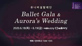 제 10회 대한민국발레축제 Ballet Gala & Aurora's Wedding