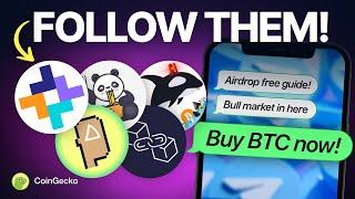 TOP Crypto Telegram Groups to Prepare For The Bull Market
