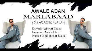 Awale Adan | Marlabaad iyo barasho wacan | 2024