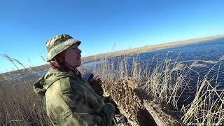Поставили профиля и она пошла.Закрылись по утке в Сибири.