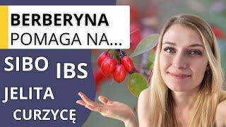 Suplement na SIBO, biegunkę, IBS i... cukrzycę? Poznaj berberynę!