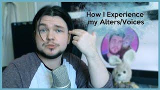 How I Experience my Alters/Voices | DID/OSDD