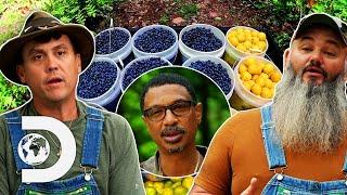 Mike & Jerry Team Up With Their "Enemy" To Make Blueberry Lemonade Moonshine | Moonshiners