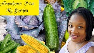 Abundant Harvest From My Backyard Container Garden (Throwback Video)