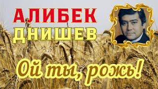 Алибек Днишев. Ой ты, рожь!