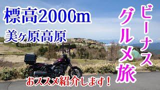 標高2000ｍ 美ヶ原高原 ビーナスライン グルメ旅 お蕎麦 ソフトクリーム#旅好きライダーチャンネル＃レブル1100＃ビーナスライン＃美ヶ原高原＃グルメ旅＃お蕎麦＃ソフトクリーム