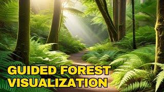 Guided Forest Visualization Retreat Meditation | Forest walk visualization meditation