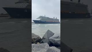 Celebrity Reflection departing Port Everglades #porteverglades #celebrityreflection
