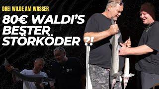 80€ Waldi´s bester STÖRKÖDER ?!