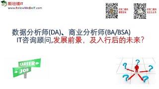 Yang Bin(杨斌)--数据分析师(Data Analyst)、商业分析师(BA/BSA)、IT咨询顾问(Consultant)的发展前景怎样，入行后的未来如何？